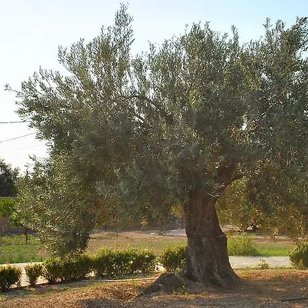 Pensionat Amforeas Retreat