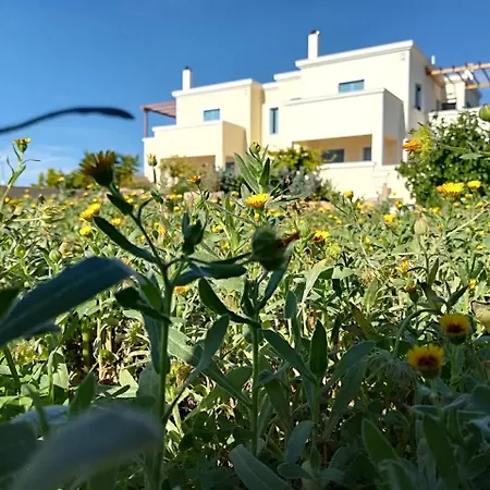 Amforeas Retreat Pensionat Agia Marina (Aegina)